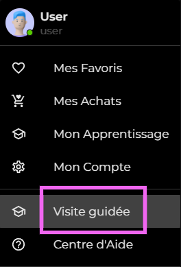 Visite guidée